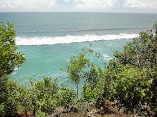 引いたらゴリゴリのリーフらしいけど、満潮なので・・・
