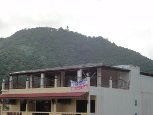 曇りですが山の上の大仏が見えます