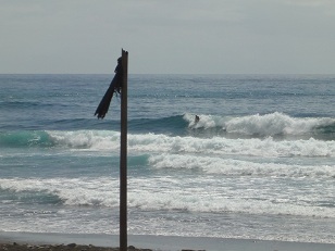 ゲットがハードそうです