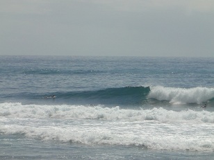 サーファーが少ないのでいい