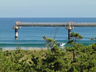飛行機の誘導灯？？？