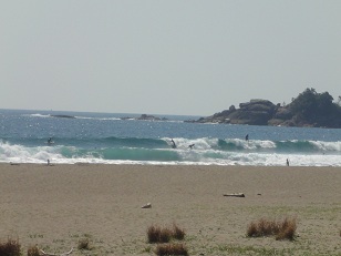 ルービーの後は、爆睡？？？