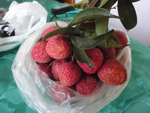 タイ産のライチ