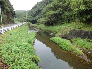 海岸から少し離れると山へと続く