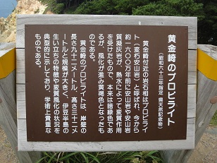 黄金崎の成り立ち