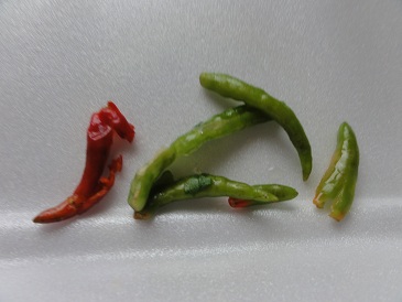 ヤムウンセンに入ってたチリ達