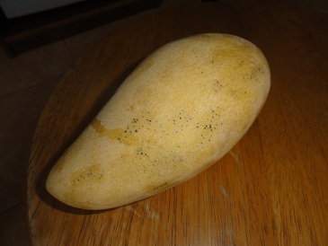 マンゴー。。。