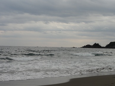 かなり弱い南ウネリです～～～