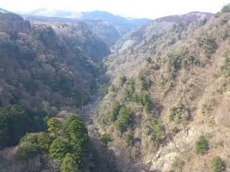 九重夢大吊橋からの絶景