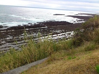 宮崎県の洗濯岩
