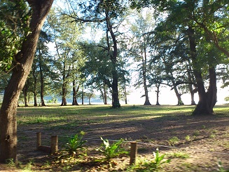 シークレットスポットの風景