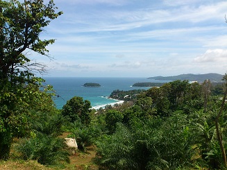 カタノイビュー