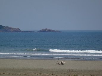 ぎりぎり波乗りが出来る波です