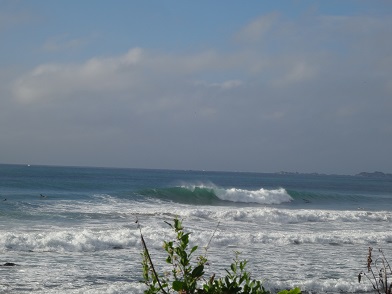 綺麗に割れてる鴨川サーフィンポイント