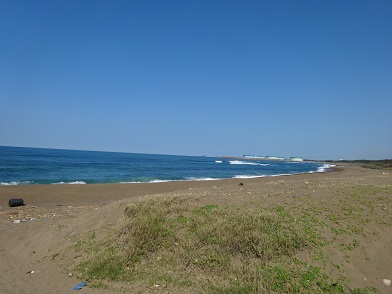 福井の鷹巣五木