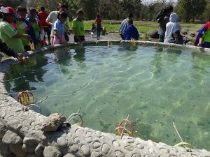 チェンマイのサンカンペーン温泉