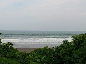 波の大きな平野