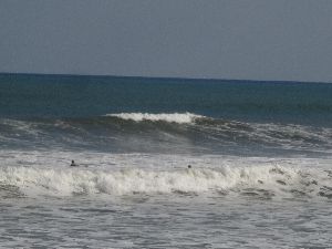 セット頭ぐらいの高鍋