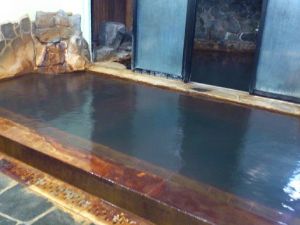 北郷温泉「丸新荘」