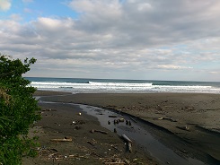 おだやかな久礼大野