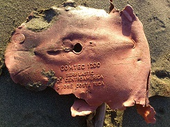 コスタリカからの贈り物