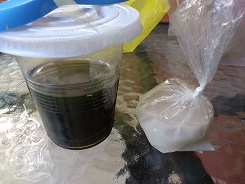 腸にいい「ダルマン」