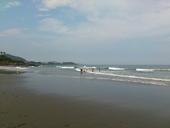 金ヶ浜サーフィンポイント