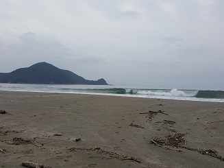 めちゃくちゃ早い波