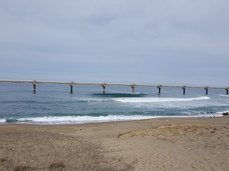 桟橋でいい波を乗り放題