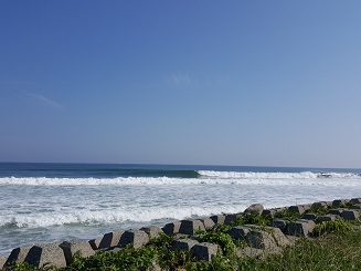 鳥取西部のリーフ