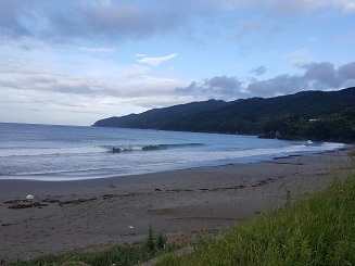 愛媛でサーフィン