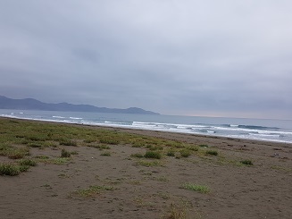 風の入った入野浜