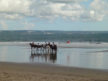 サイズアップすると満喫サーフィンが出来る貴重なポイントです