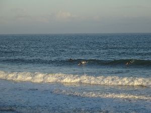 部原メインに入ったウネリ