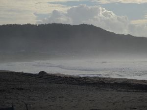 御宿サーフィンポイント全景
