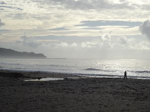 御宿漁港サーフィンポイント