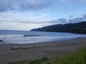 愛媛某ポイントのレフトの波