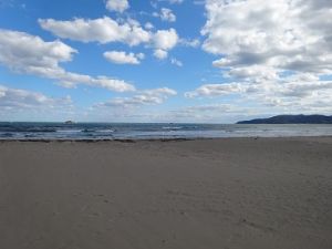 沖に岩が見えています