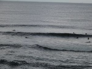 仙台新港に入るウネリ