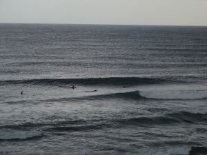 仙台新港でサーフィン
