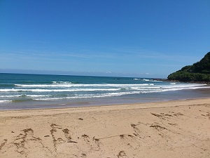 伊比井サーフィンポイント