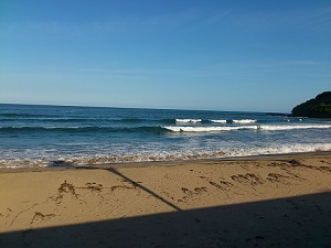 伊比井の微妙な波