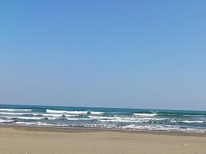 加江田サーフィンポイントの大きな波