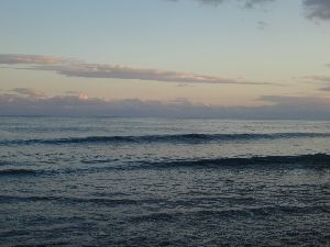 ハイタイドの昭寿園