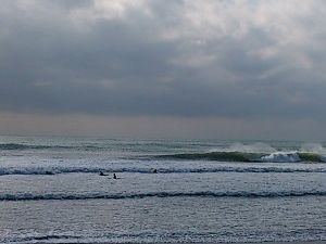 昭寿園の台風ウネリ