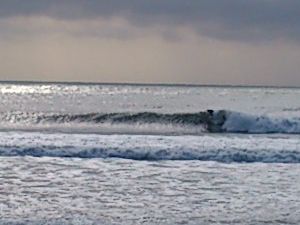 雨が降った後の昭寿園