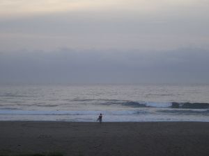 安定したウネリが入ってきている入野です