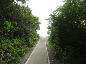 大岐の浜正面の駐車場からビーチへ