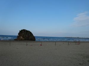 稲佐の浜サーフィンポイントの真ん中