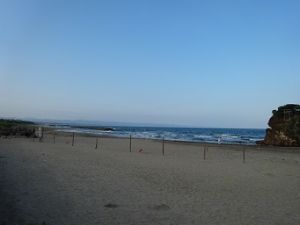 稲佐の浜サーフィンポイントの左